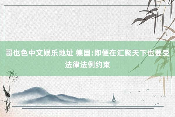 哥也色中文娱乐地址 德国:即便在汇聚天下也要受法律法例约束