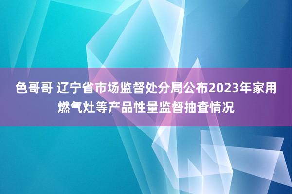 色哥哥 辽宁省市场监督处分局公布2023年家用燃气灶等产品性量监督抽查情况