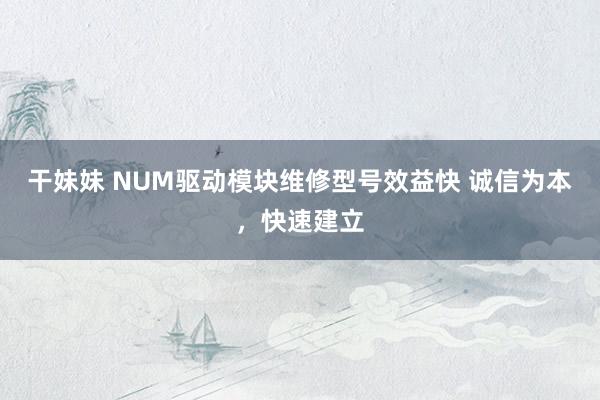 干妹妹 NUM驱动模块维修型号效益快 诚信为本，快速建立