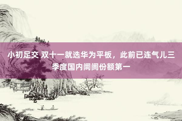 小初足交 双十一就选华为平板，此前已连气儿三季度国内阛阓份额第一