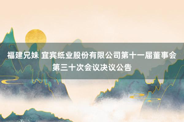 福建兄妹 宜宾纸业股份有限公司第十一届董事会第三十次会议决议公告