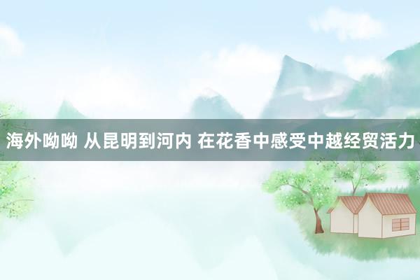 海外呦呦 从昆明到河内 在花香中感受中越经贸活力