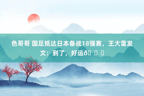 色哥哥 国足抵达日本备战18强赛，王大雷发文：到了，好运🍀