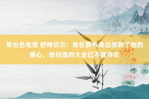 哥也色电信 舒梅切尔：我在爵爷身边感到了他的痛心，他创造的大业已不复存在