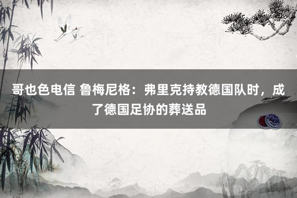 哥也色电信 鲁梅尼格：弗里克持教德国队时，成了德国足协的葬送品
