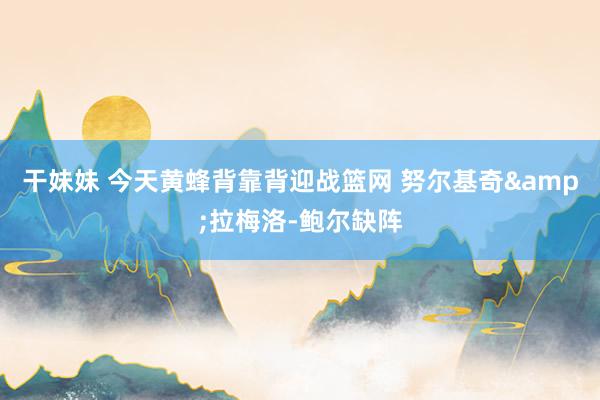 干妹妹 今天黄蜂背靠背迎战篮网 努尔基奇&拉梅洛-鲍尔缺阵
