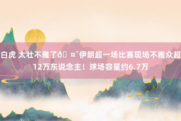 白虎 太壮不雅了🤯伊朗超一场比赛现场不雅众超12万东说念主！球场容量约6.7万